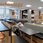 Elida Schoology Revolutionizing Education with Next-Gen Technology